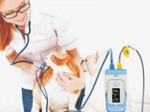 Saturimetro veterinario Temp-pulsossimetro