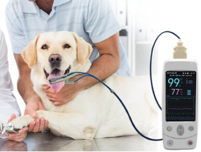 Veterinaire pulsoximeters