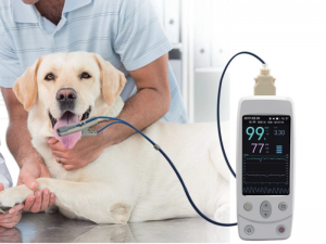 Oximeter pulupulu Veterinary