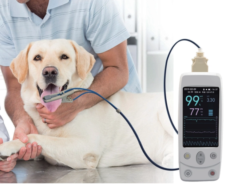 Veterinary pulsoximeter