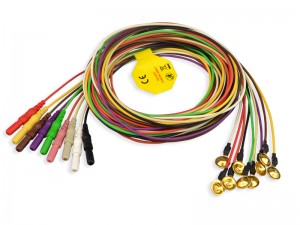 ইলেকট্রোড সহ EEG Leadwires